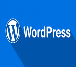 網(wǎng)站安全防護(hù)-以WordPress為例