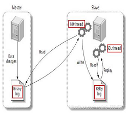 服務(wù)器Mysql主從復(fù)制原理——指南篇